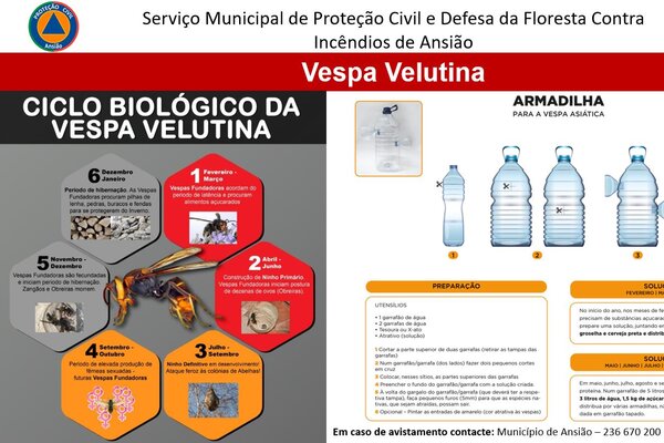 partilha_redes_2025